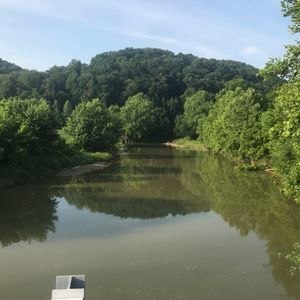 Meet your Posher, Carson